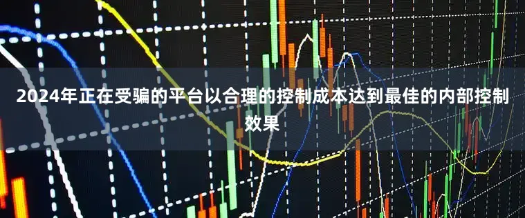 2024年正在受骗的平台以合理的控制成本达到最佳的内部控制效果