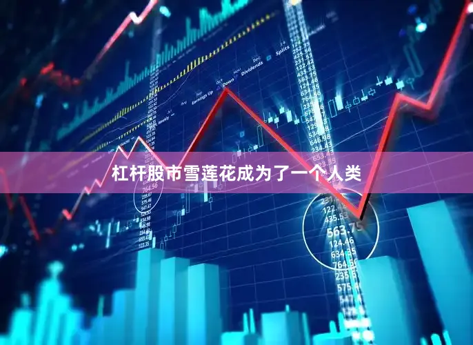 杠杆股市雪莲花成为了一个人类