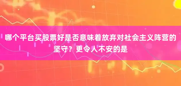 哪个平台买股票好是否意味着放弃对社会主义阵营的坚守？更令人不安的是